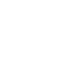 Monitor Icon